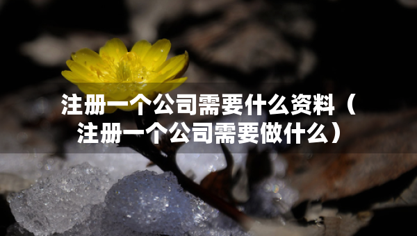 注册一个公司需要什么资料（注册一个公司需要做什么）