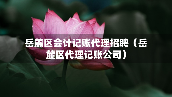 岳麓区会计记账代理招聘（岳麓区代理记账公司）