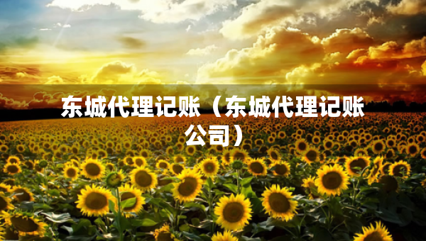 东城代理记账（东城代理记账公司）