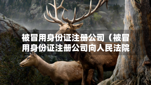 被冒用身份证注册公司（被冒用身份证注册公司向人民法院诉讼费用）