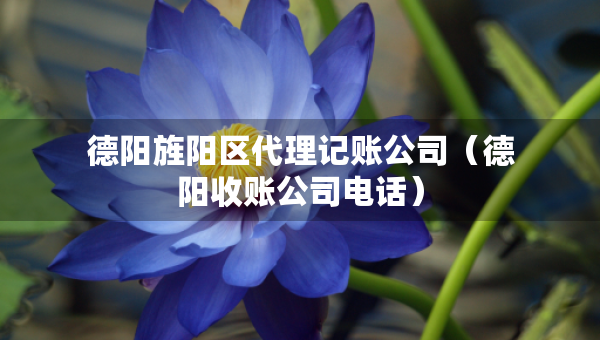 德阳旌阳区代理记账公司(德阳收账公司电话) 德阳旌阳区代理记账公司(德阳收账公司电话)