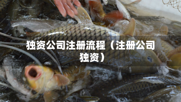 独资公司注册流程（注册公司 独资）