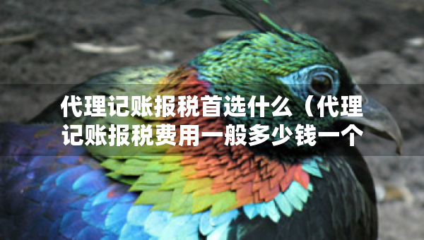 代理记账报税首选什么（代理记账报税费用一般多少钱一个月）