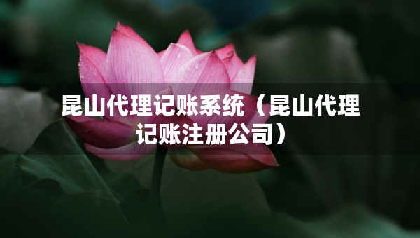 昆山代理记账系统（昆山代理记账注册公司）