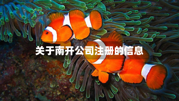 关于南开公司注册的信息