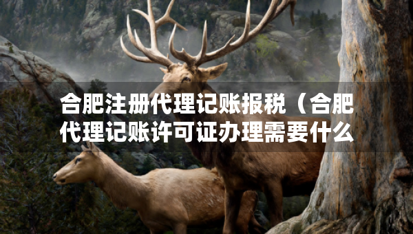 合肥注册代理记账报税（合肥代理记账许可证办理需要什么条件）