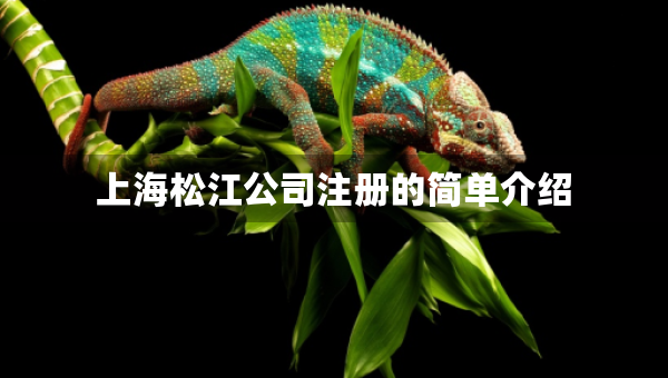 上海松江公司注册的简单介绍
