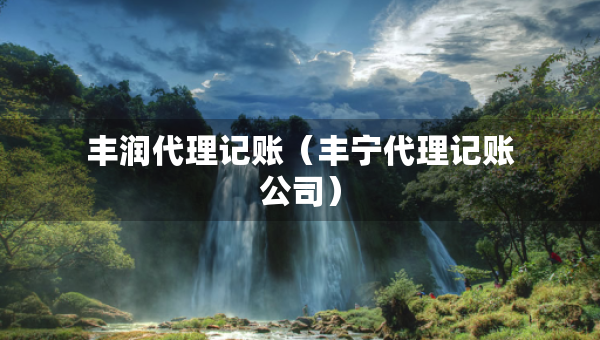 丰润代理记账（丰宁代理记账公司）