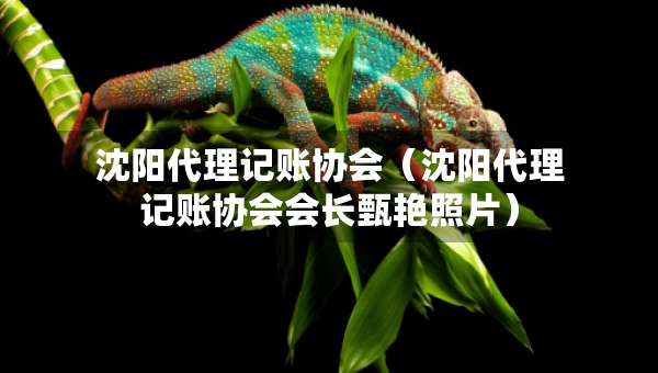 沈阳代理记账协会(沈阳代理记账协会会长甄艳照片) 沈阳代理记账协会(沈阳代理记账协会会长甄艳照片)