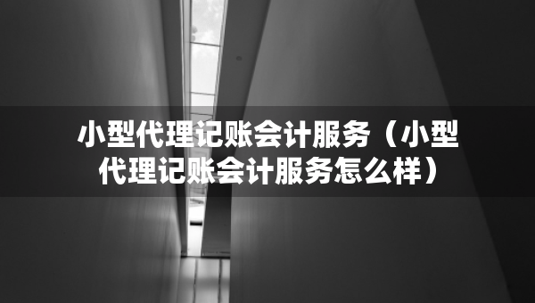 小型代理记账会计服务（小型代理记账会计服务怎么样）