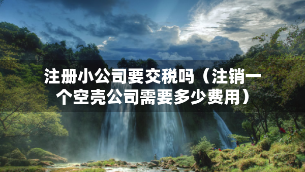 注册小公司要交税吗（注销一个空壳公司需要多少费用）