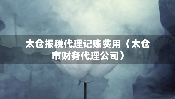 太仓报税代理记账费用（太仓市财务代理公司）