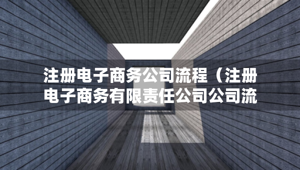 注册电子商务公司流程（注册电子商务有限责任公司公司流程）