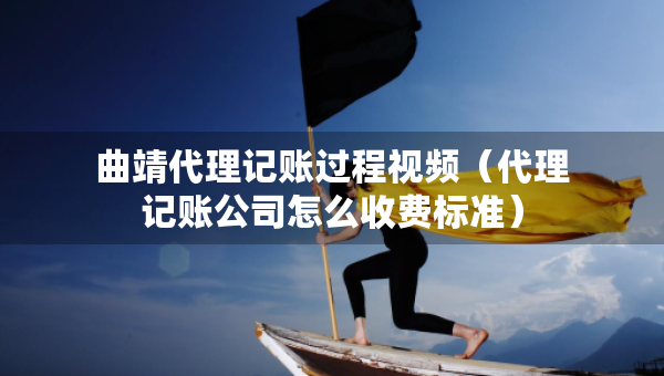 曲靖代理记账过程视频（代理记账公司怎么收费标准）