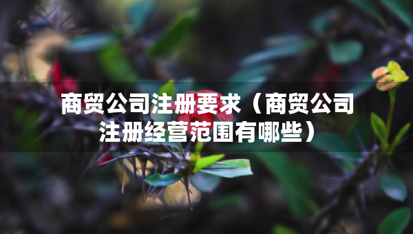 商贸公司注册要求（商贸公司注册经营范围有哪些）