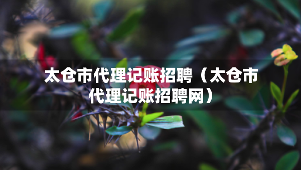 太仓市代理记账招聘（太仓市代理记账招聘网）