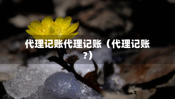 代理记账代理记账（代理记账?）