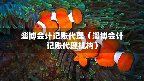淄博会计记账代理（淄博会计记账代理机构）
