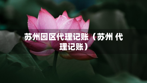 苏州园区代理记账（苏州 代理记账）