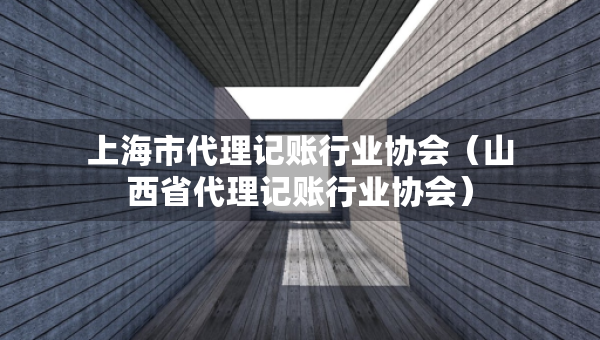 上海市代理记账行业协会（山西省代理记账行业协会）