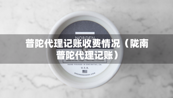 普陀代理记账收费情况（陇南普陀代理记账）