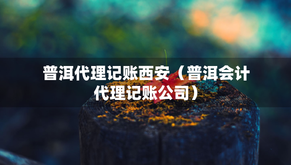 普洱代理记账西安（普洱会计代理记账公司）