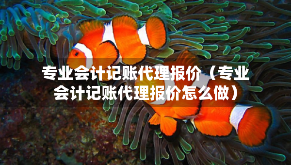 专业会计记账代理报价（专业会计记账代理报价怎么做）