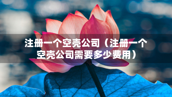 注册一个空壳公司（注册一个空壳公司需要多少费用）