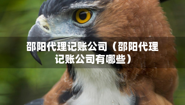 邵阳代理记账公司（邵阳代理记账公司有哪些）