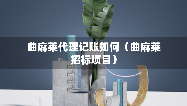 曲麻莱代理记账如何（曲麻莱招标项目）