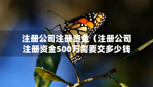 注册公司注册资金（注册公司注册资金500万需要交多少钱）