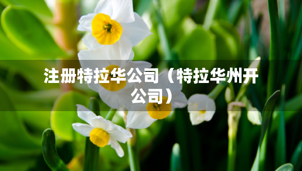 注册特拉华公司（特拉华州开公司）