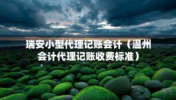 瑞安小型代理记账会计（温州会计代理记账收费标准）
