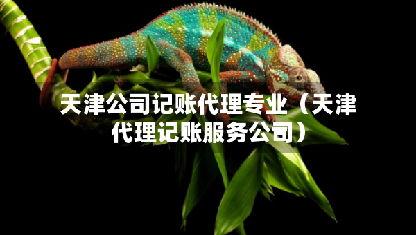 天津公司记账代理专业（天津代理记账服务公司）