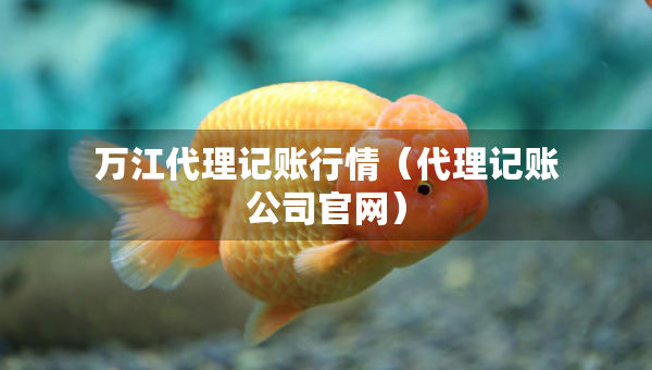 万江代理记账行情（代理记账公司官网）