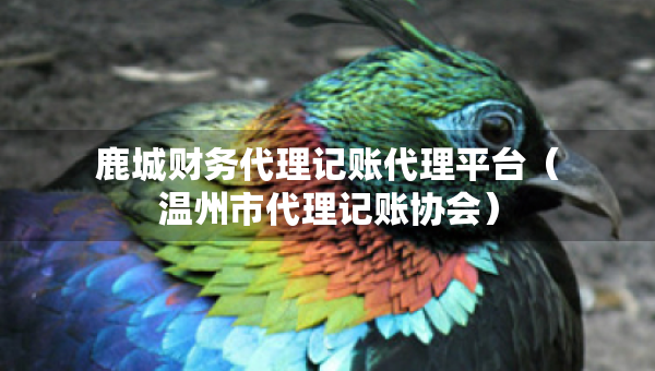 鹿城财务代理记账代理平台（温州市代理记账协会）