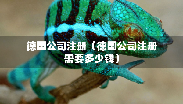 德国公司注册（德国公司注册需要多少钱）