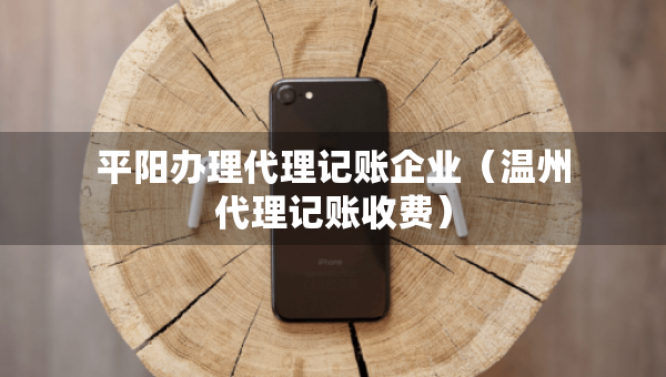 平阳办理代理记账企业（温州代理记账收费）