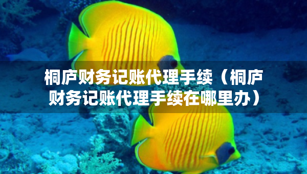 桐庐财务记账代理手续（桐庐财务记账代理手续在哪里办）