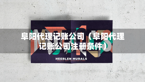 阜阳代理记账公司（阜阳代理记账公司注册条件）