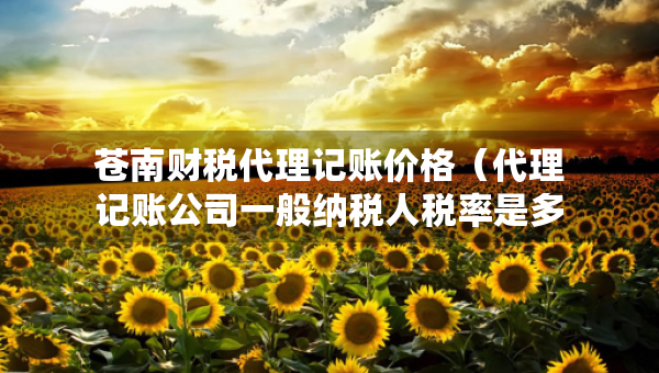 苍南财税代理记账价格（代理记账公司一般纳税人税率是多少）