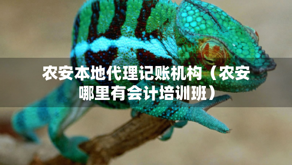 农安本地代理记账机构（农安哪里有会计培训班）