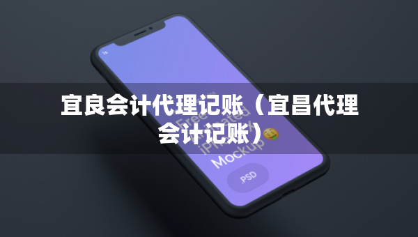 宜良会计代理记账（宜昌代理会计记账）