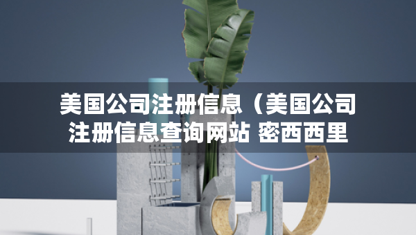 美国公司注册信息（美国公司注册信息查询网站 密西西里周）