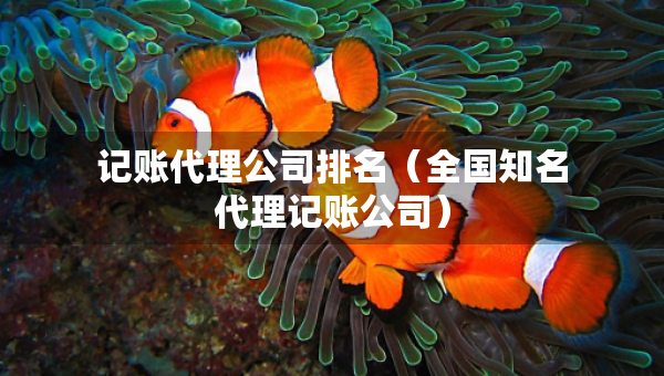 记账代理公司排名（全国知名代理记账公司）
