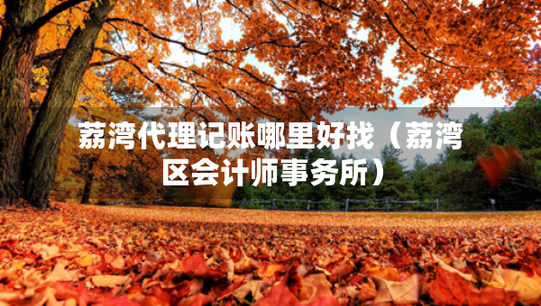 荔湾代理记账哪里好找（荔湾区会计师事务所）