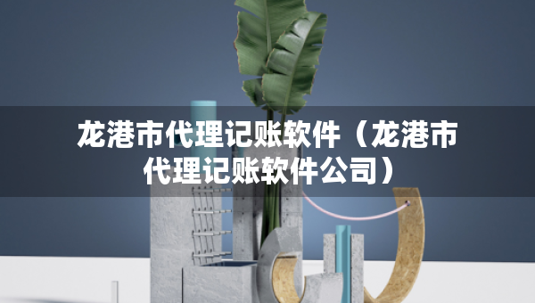 龙港市代理记账软件（龙港市代理记账软件公司）