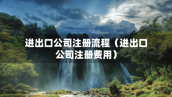 进出口公司注册流程（进出口公司注册费用）