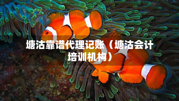 塘沽靠谱代理记账（塘沽会计培训机构）