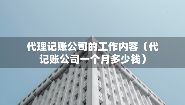 代理记账公司的工作内容（代记账公司一个月多少钱）